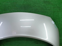 Капот Renault Scenic 2 (2003-2009)