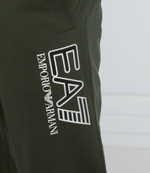 спортивные штаны EA7 - зеленый(3LPP72 PJ05Z)