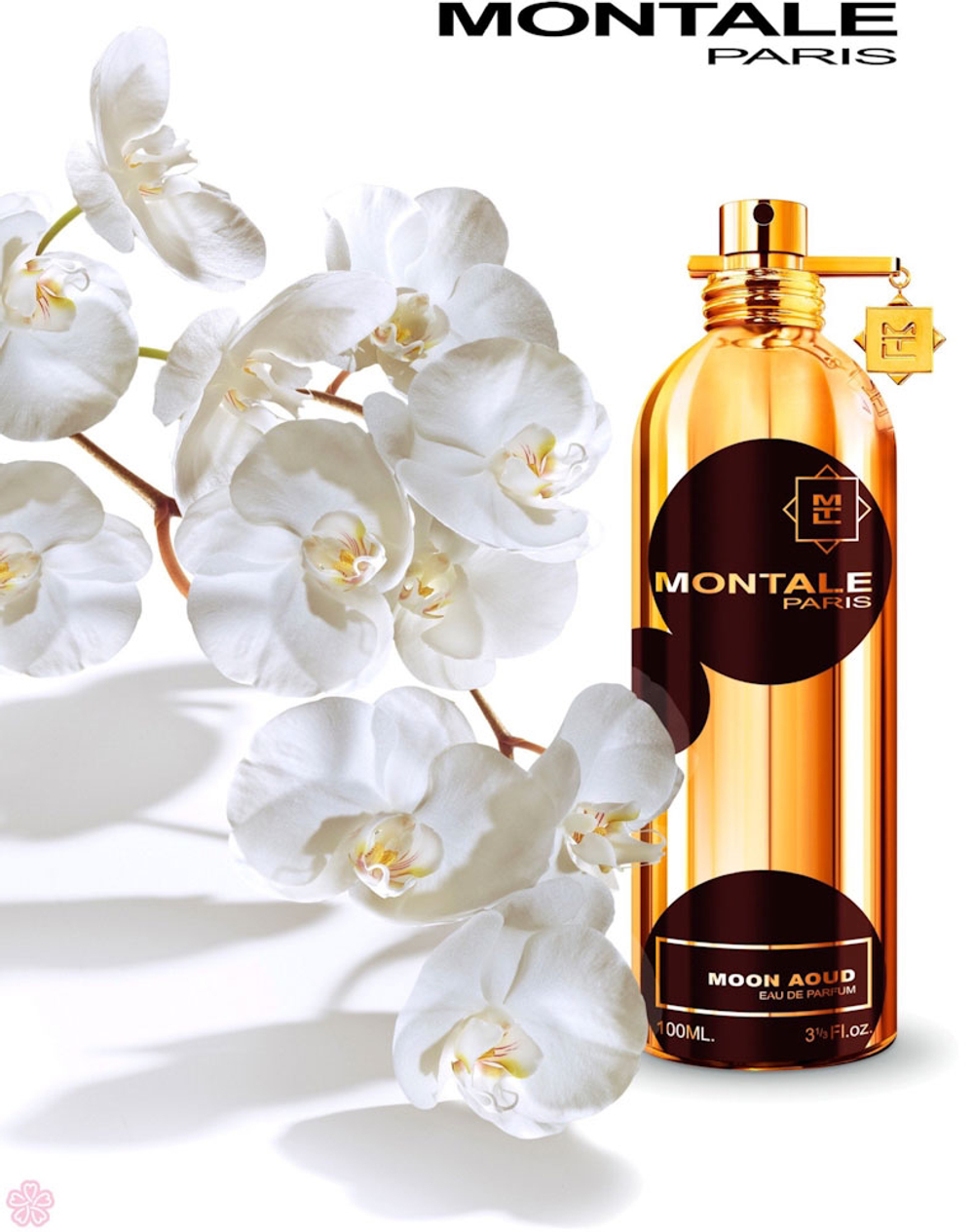 Montale Moon Aoud 50ml