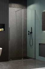 Душевая дверь Radaway Furo Brushed GunMetal DWJ 120 стекло прозраное/профиль брашированная оружейная сталь