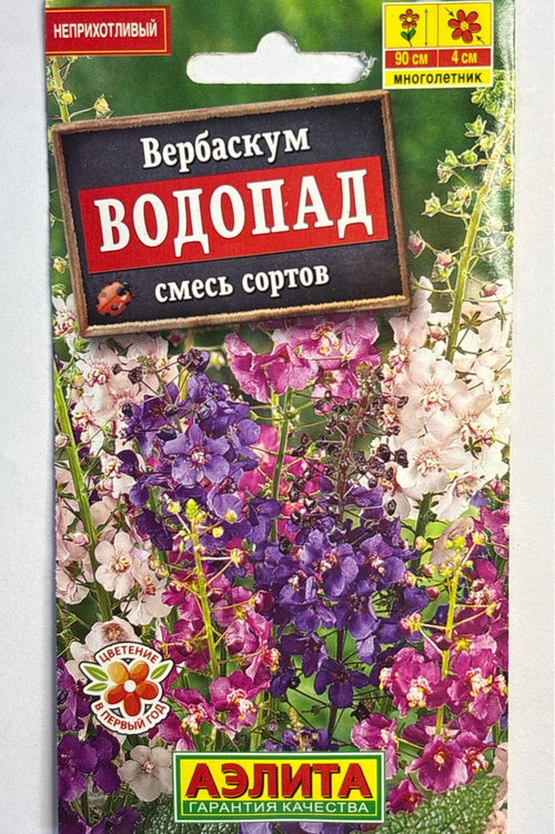 Вербаскум Водопад, смесь сортов СМЦ-719