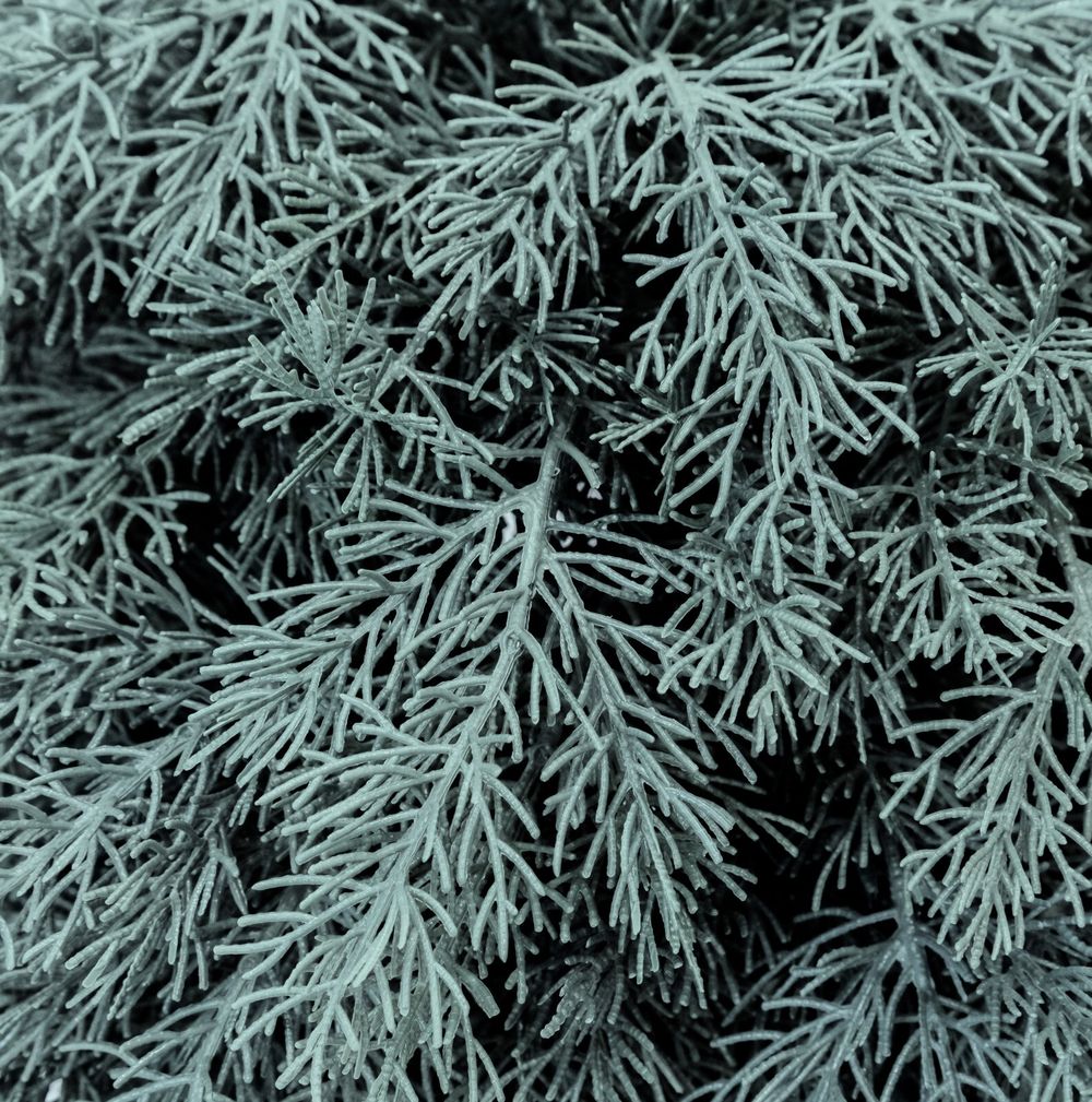 Голубая Туя-шар искусственная (Литая хвоя) 40 см \ 70 см