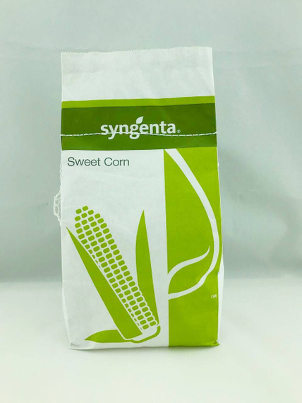 Шайнрок F1 семена кукурузы (Syngenta / Сингента) – фото 2