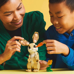LEGO Creator - Милый кролик 31162