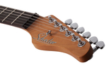 Schecter NICK JOHNSTON TRAD-SSS ATOMIC FROST
