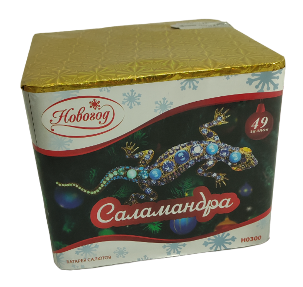 Салют "Саламандра" (49 залпов) H0300