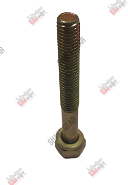 Q150B1080 - Болт M10*80*1,5