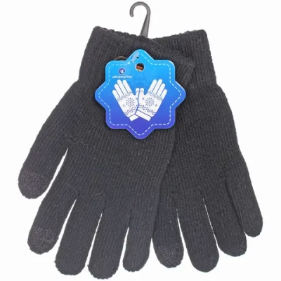 Перчатки мужские зимние сенсорные «NEHOLOD», цвет черный, 24,5*9см (пакет с подвесом)