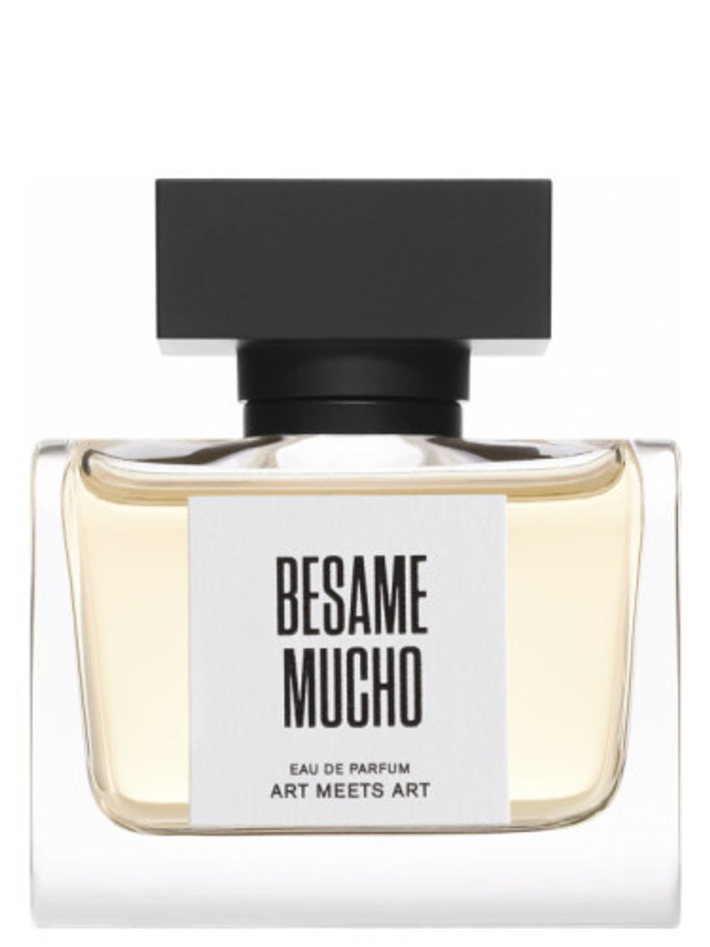 Art Meets Art Besame Mucho