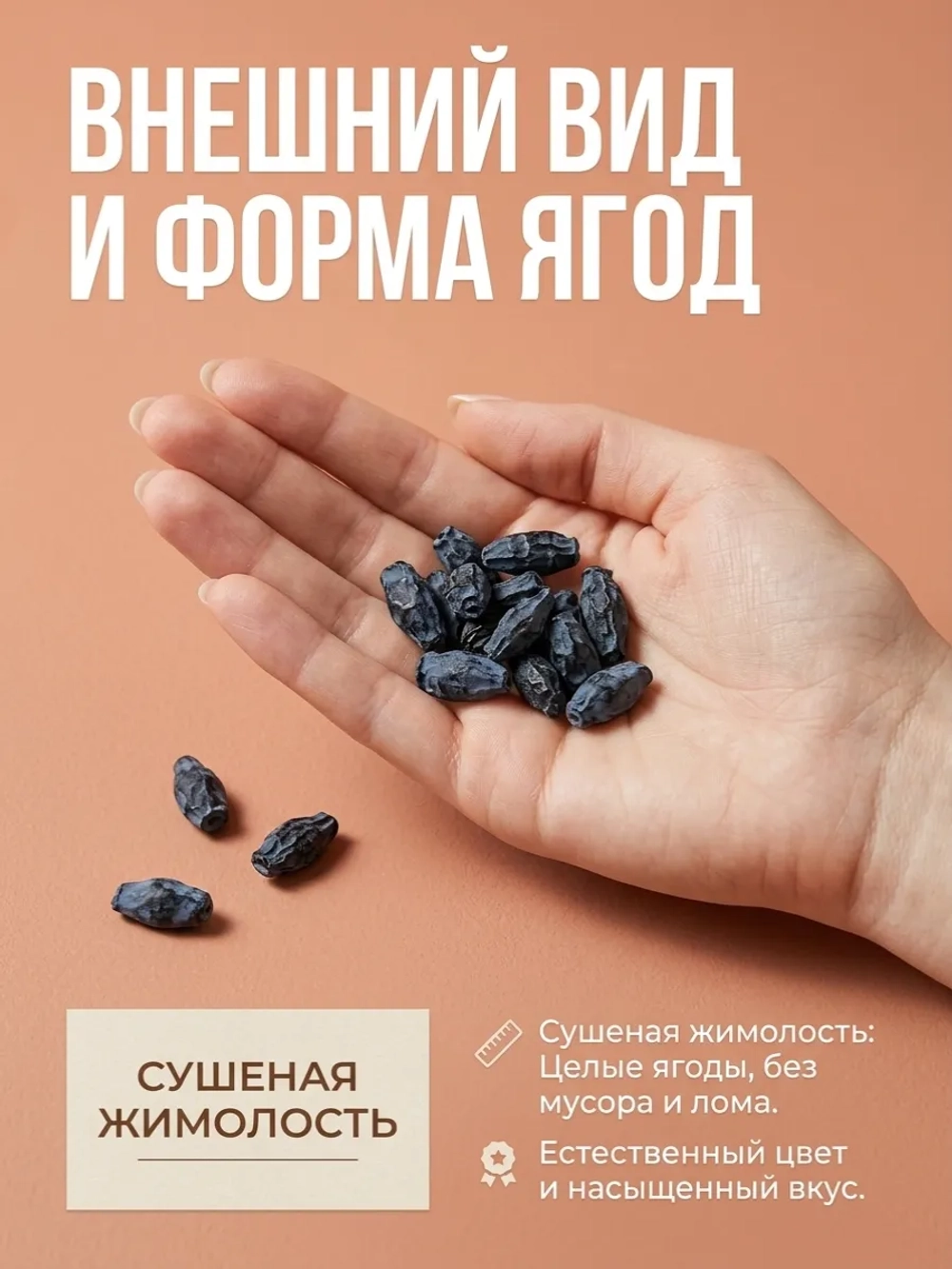Жимолость сушеная