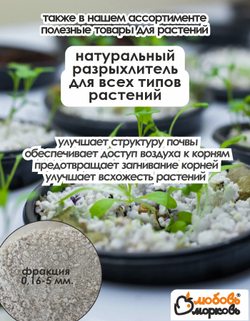 Тюльпан Луковица, Еллоу Помпонетт, 5шт (Любовь Морковь)