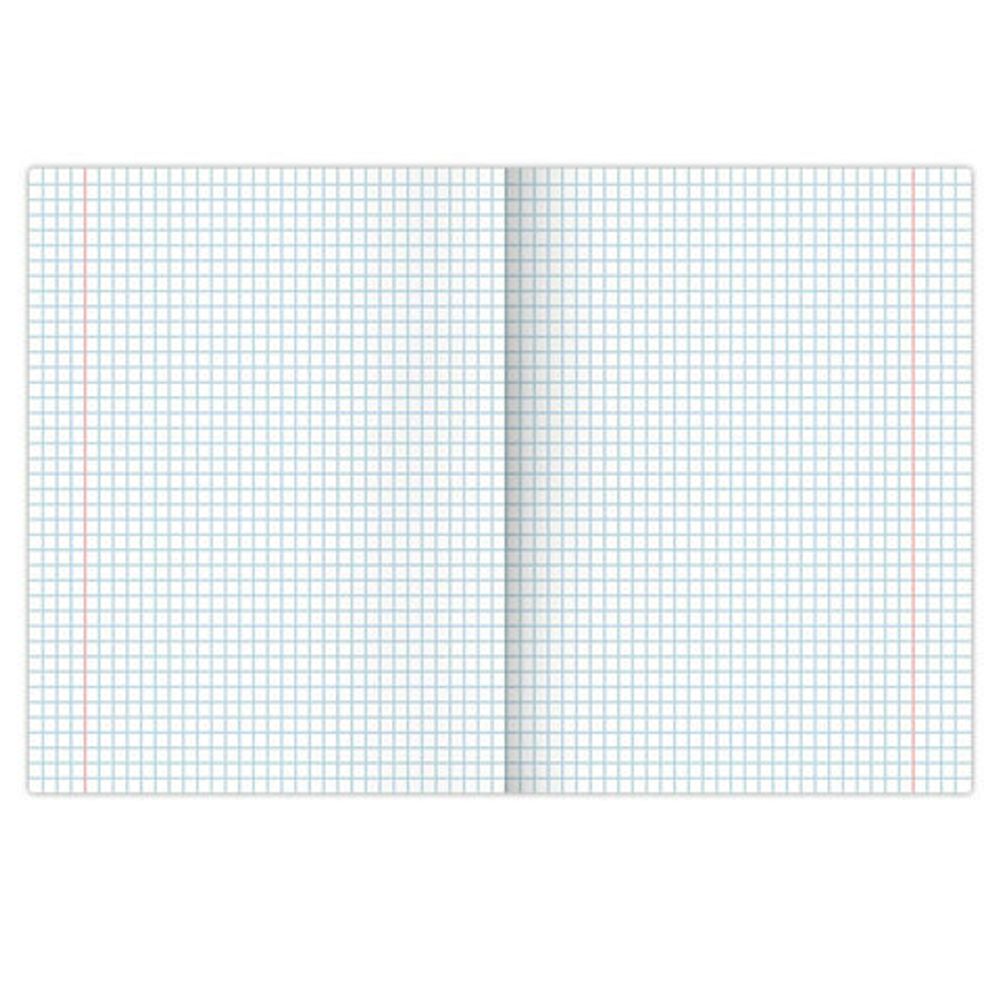 Тетрадь 18 л. BRAUBERG клетка, обложка картон, "ПЛЮШЕВЫЙ АВОКАДО", 106477, 5шт