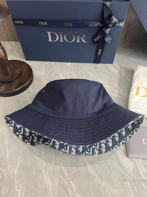 Панама Christian Dior