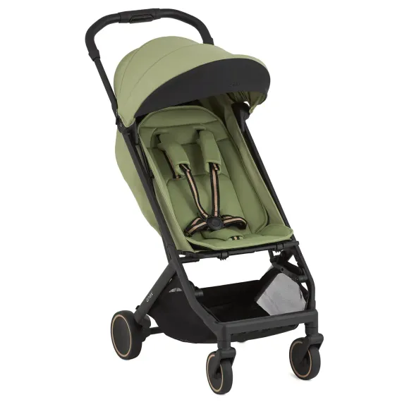 Коляска ANEX AIR-X² (Ax2-03) vert