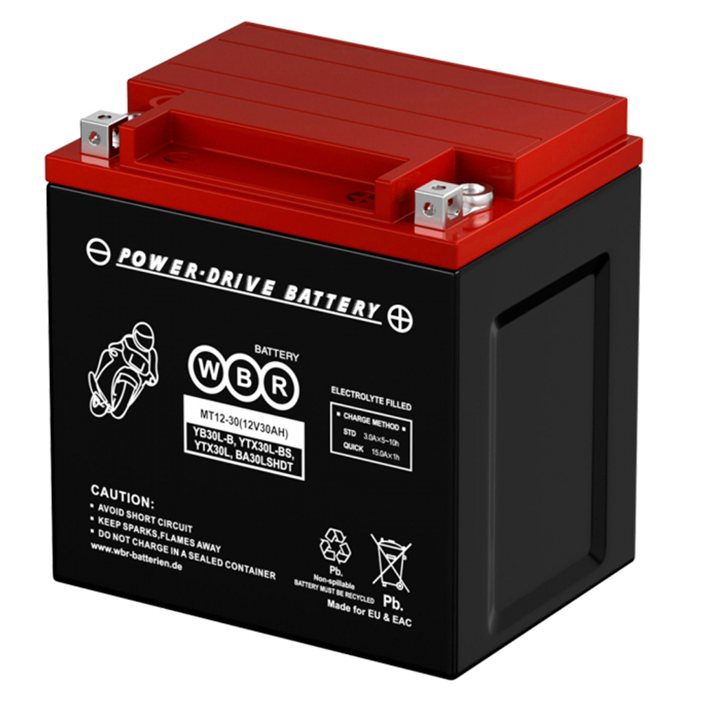 Аккумулятор WBR MT AGM YTX30L-BS