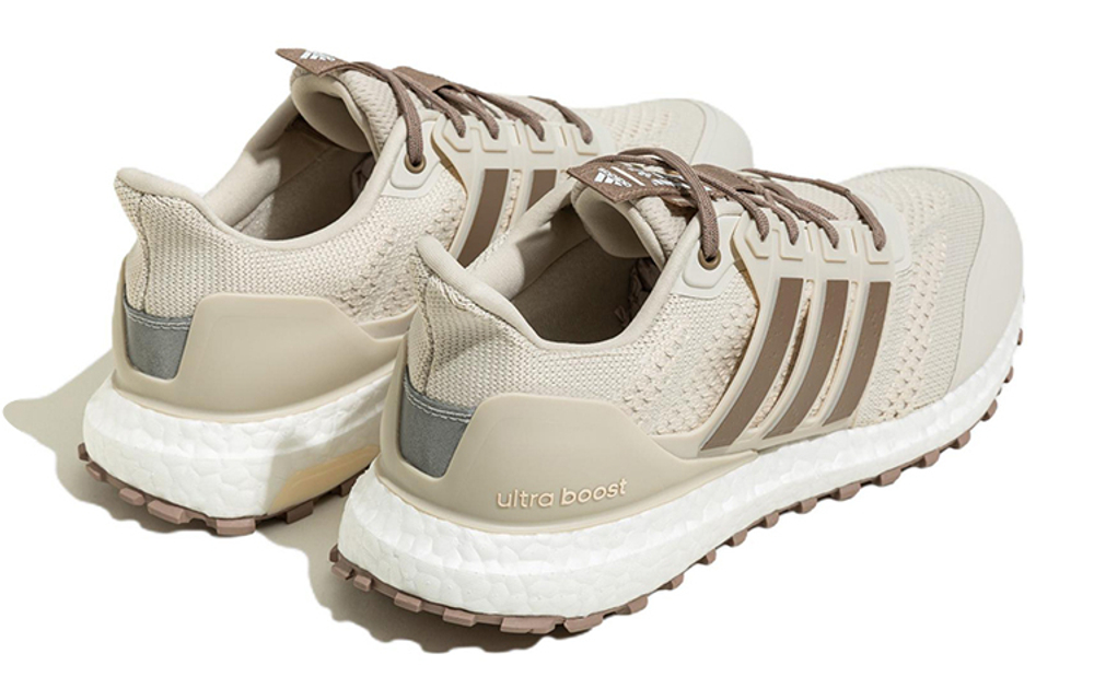 Кроссовки Adidas Ultraboost Dna Guard