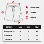 Шорты VOLCOM