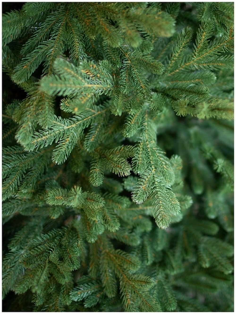 Ель искусственная «Мэдимон» (Литая хвоя) 180 см / 1.8 м