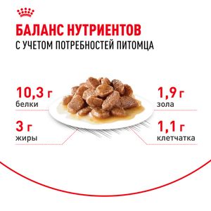 Пауч Royal Canin Indoor Sterilized 7+ для кошек в возрасте от 7 до 12 лет, живущих в помещении, небольшие кусочки в соусе