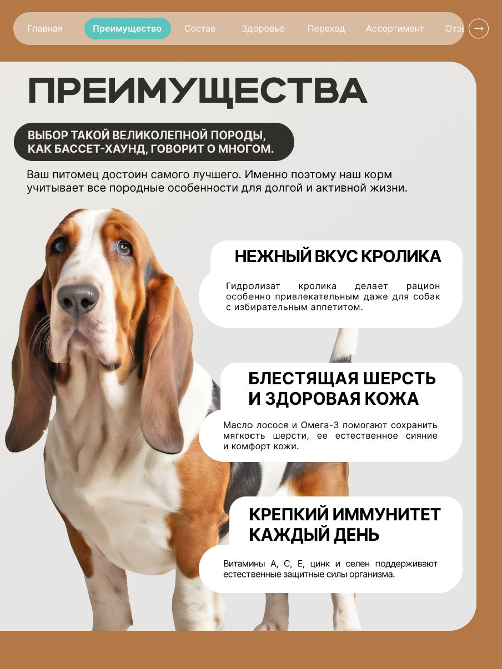 Корм для взрослых собак породы Бассет-хаунд, с кроликом, 12 кг, QUATTRO