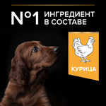 Сухой корм PRO PLAN HEALTHY START для щенков крупных пород с атлетическим телосложением курица 12 кг