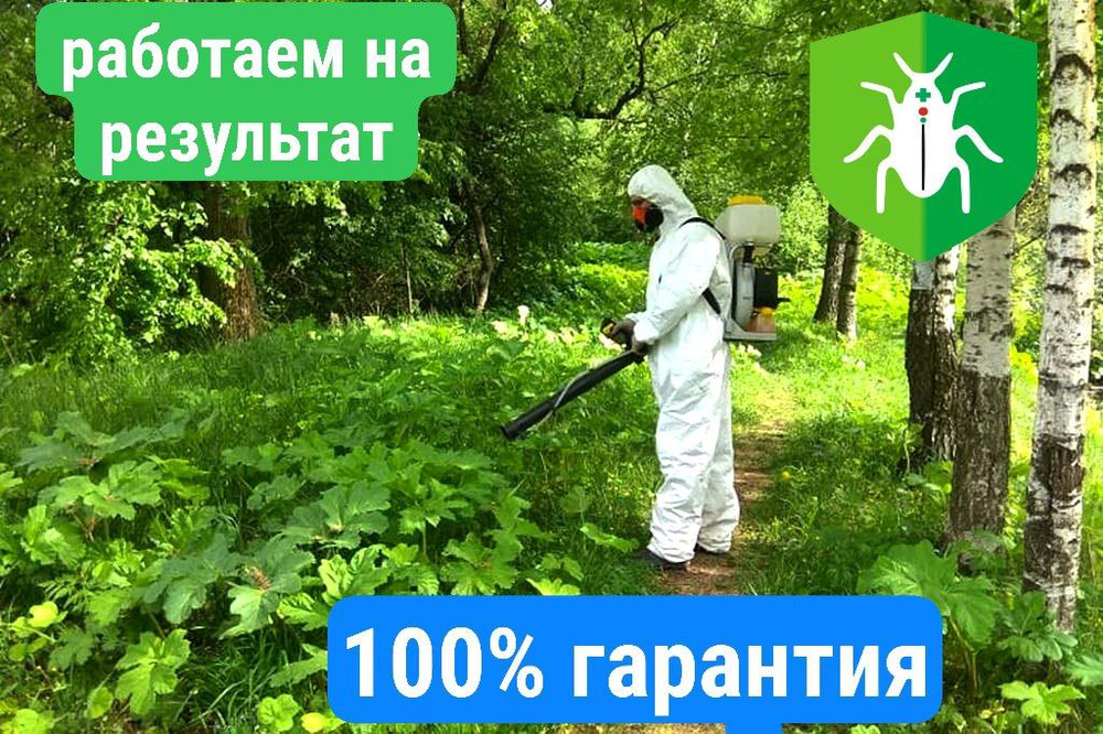 Обработка от БОРЩЕВИКА