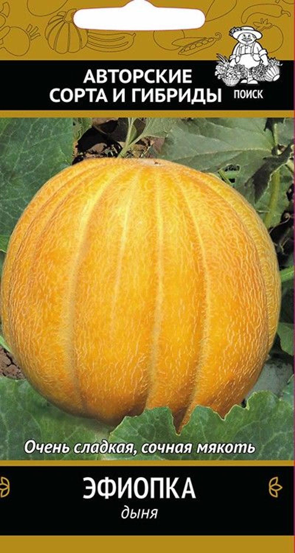 Дыня Эфиопка Ц Поиск