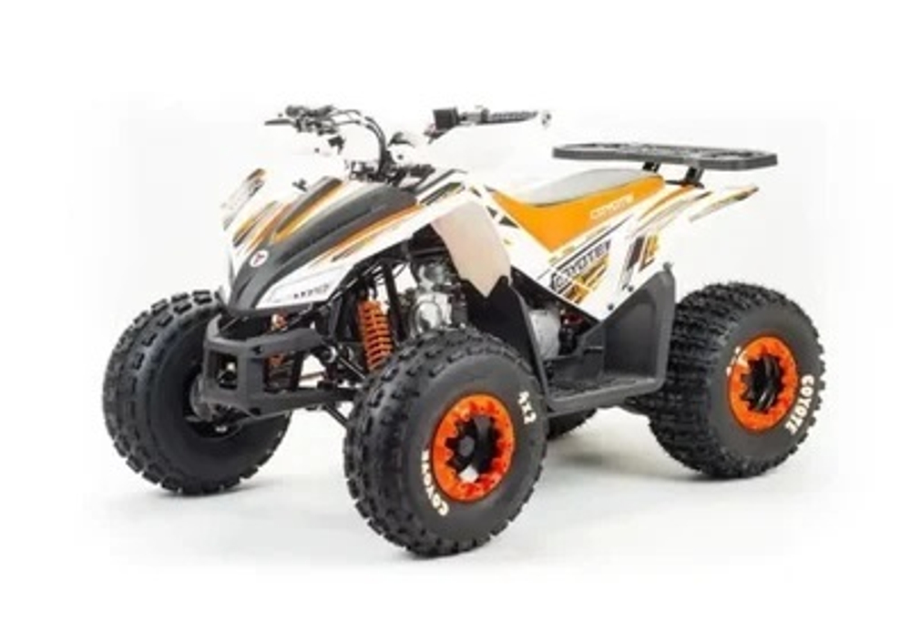 Квадроцикл MOTOLAND 125 COYOTE (2021 Г.)