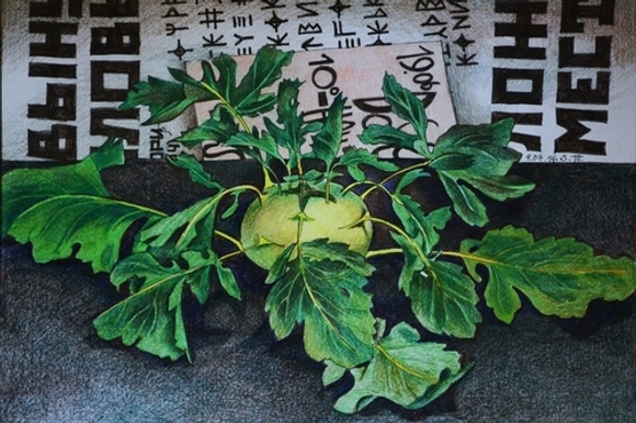 Репродукция на фотобумаге "Кольраби"