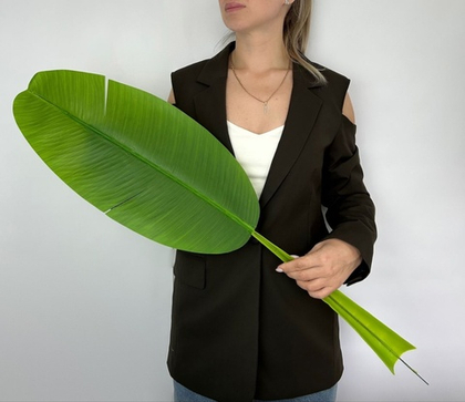 Лист банана светлый крупный / Арт 9050