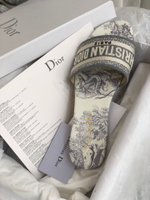 Christian Dior Dway Slide
