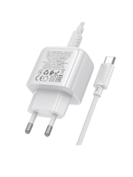 Сетевое зарядное устройство HOCO CS55A 30W с кабелем Type-C
