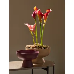 Блюдо на ножке vivlend, D21 см, сливовое