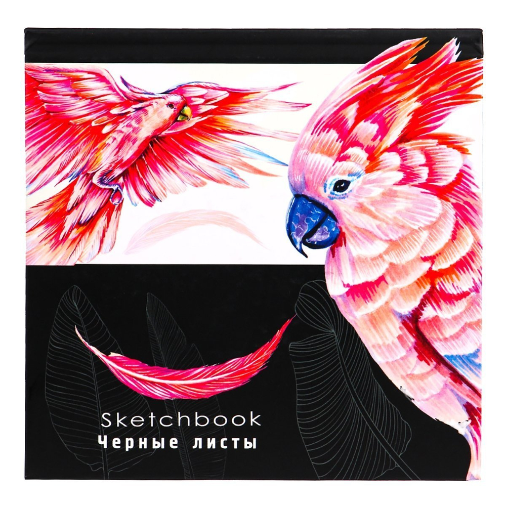 Скетчбук 160*160 мм., 64л., "Рисунок попугая", 120 г/м2, Проф-Пресс, 7БЦ, ламинация, жёсткая подложка, черный офсет