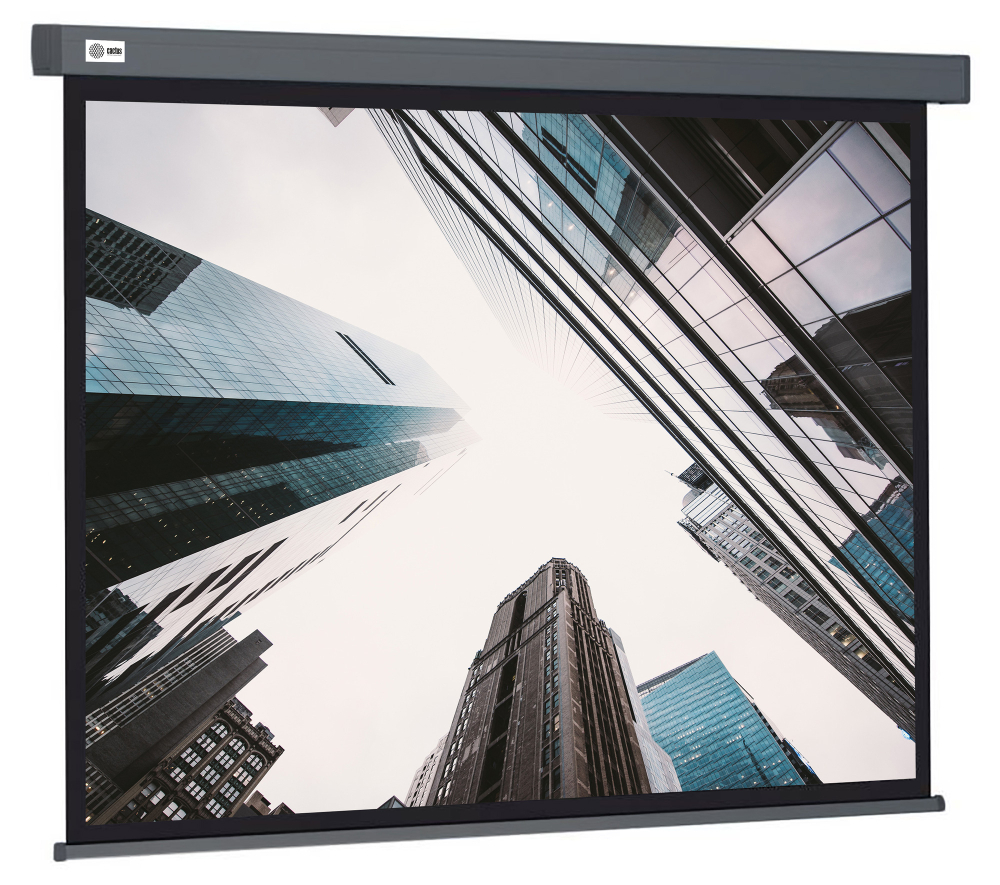 Экран  Cactus CS-PSW-183X244-SG