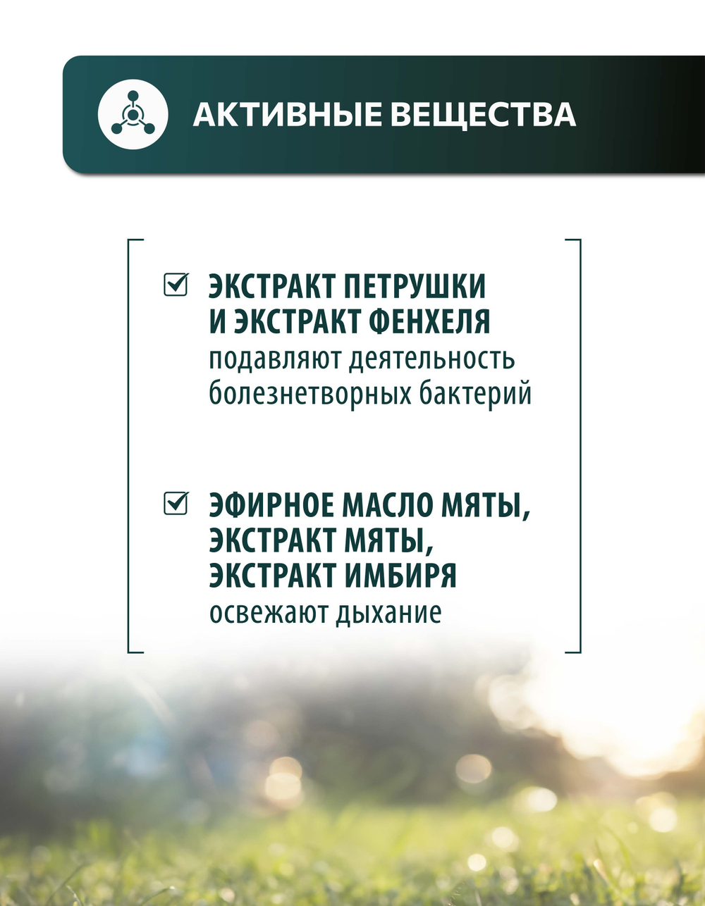 Vita+ мультивитаминное лакомство для собак Свежее дыхание, 90 таблеток