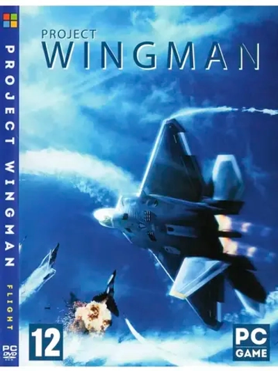 Project Wingman (ФЛЕШКА)