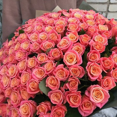 Букет из 101 розы Мисс Пигги (50 см)