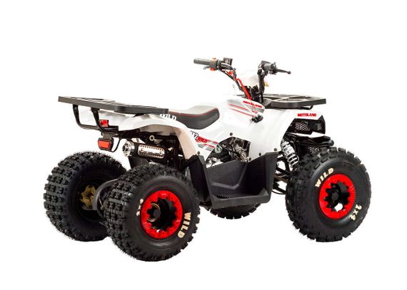 Квадроцикл MOTOLAND 125 Wild