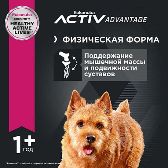 Eukanuba ADULT SMALL BREED корм для взрослых собак мелких пород весом до 10 кг