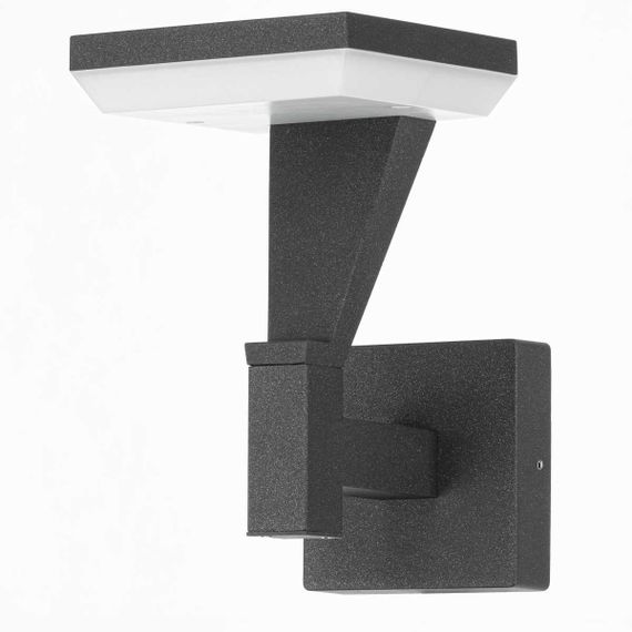 Уличный настенный светильник Citilux CLU06W