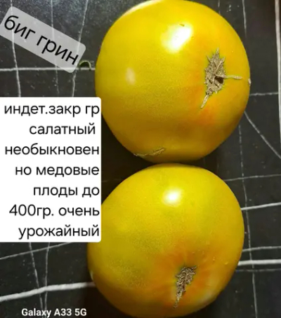 БИГ ГРИН \ ЗЕЛЕНЫЙ ГИГАНТ\