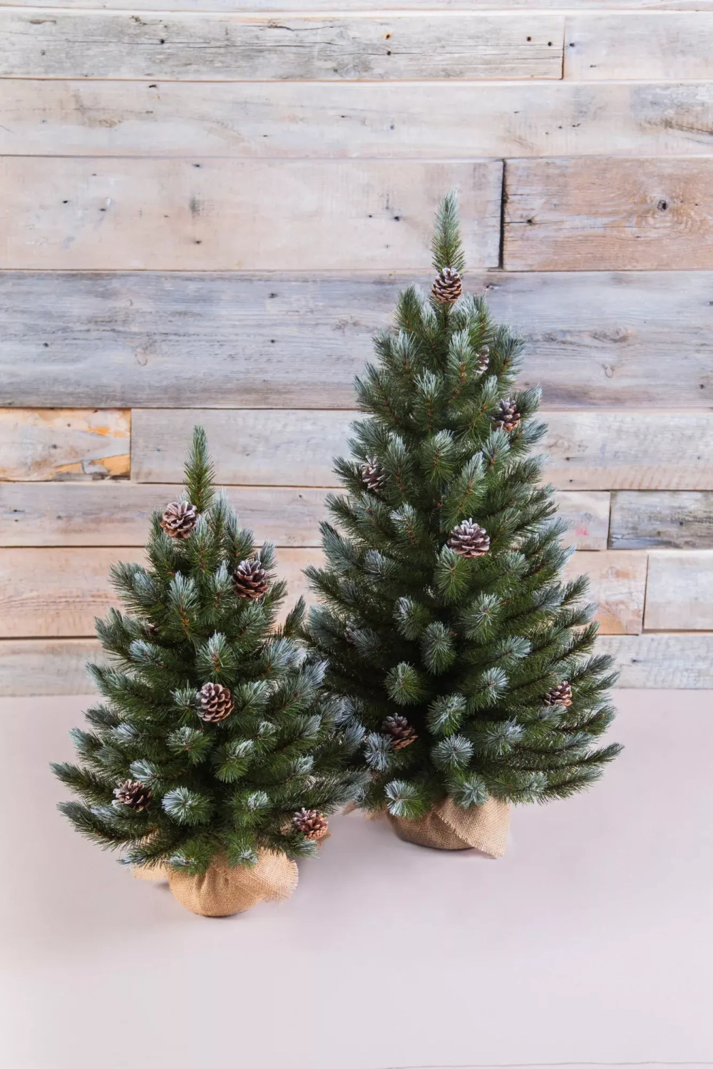 Ель Женева заснеженная с шишками 90 см., леска, Triumph Tree (72064)