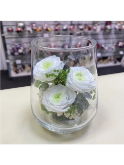 натуральные пионы в стекле, вакуум*