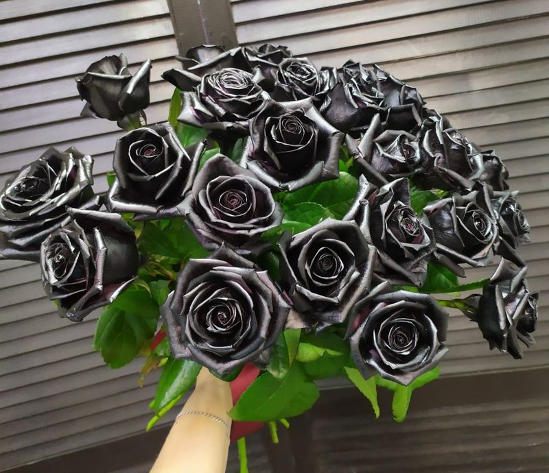 Букет из 25 черных роз #19177