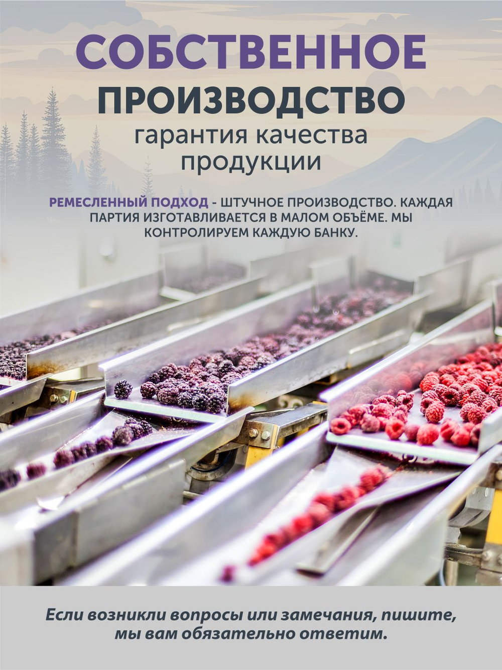 Черника ТАЁЖНЫЙ ЦЕХ вяленая ягода, 250 г