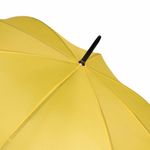 Зонт-трость RAINDROPS