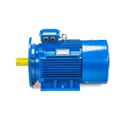 Электродвигатель 5АИ 180 S2 22/3000 IM2001