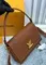 Сумка женская Louis Vuitton Soft Twist коричневый