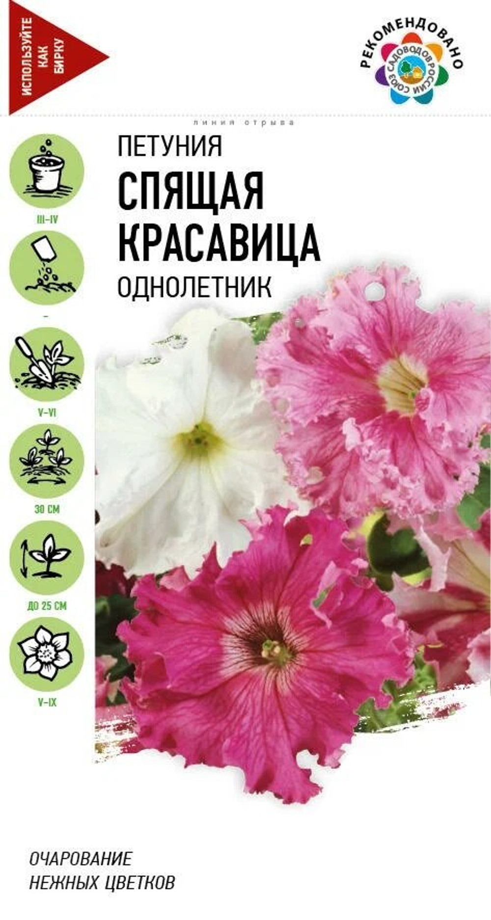 спящ